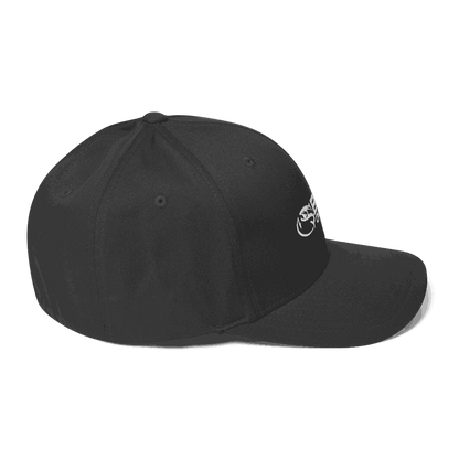 Chrome Flex Fit Structured Twill Cap, black, elastic stretch band, curved visor, six-panel design.